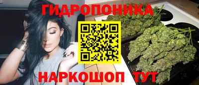 спайс Будённовск